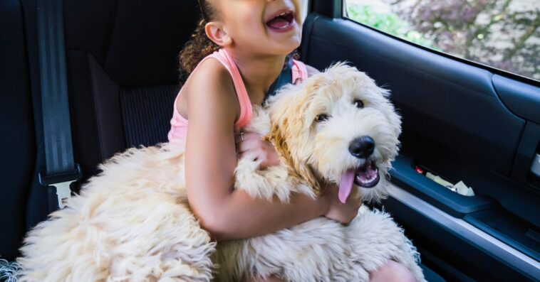 A young girl holds a dog in the backseat of a car