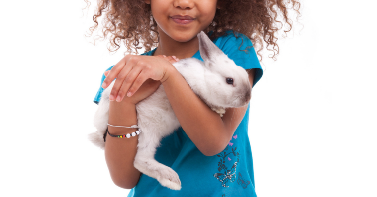 Young girl holding her pet rabbit