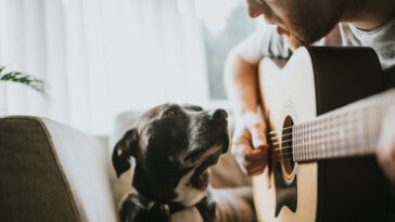 A man plays guitar to his dog