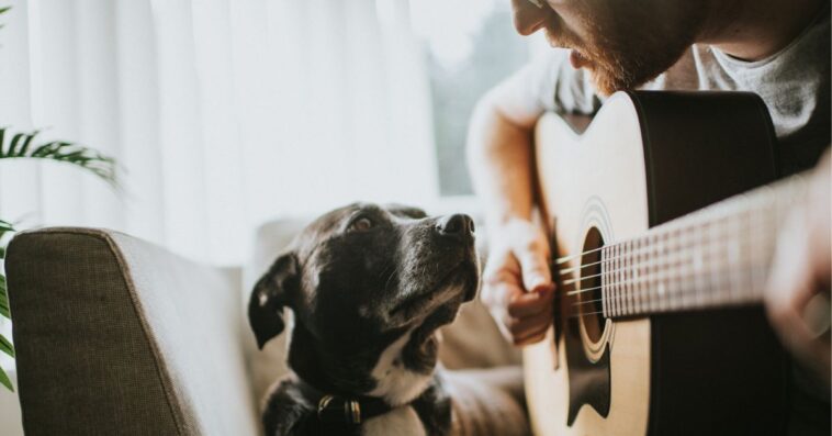 A man plays guitar to his dog