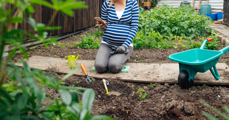 Pregnant woman gardening