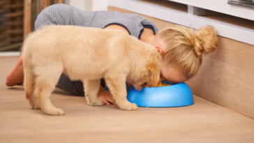 Girl eating dogfood from a bowl with a dog.
