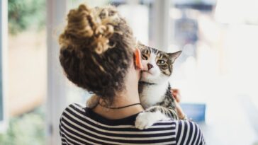 A cat looks into the camera while it's being held by a woman