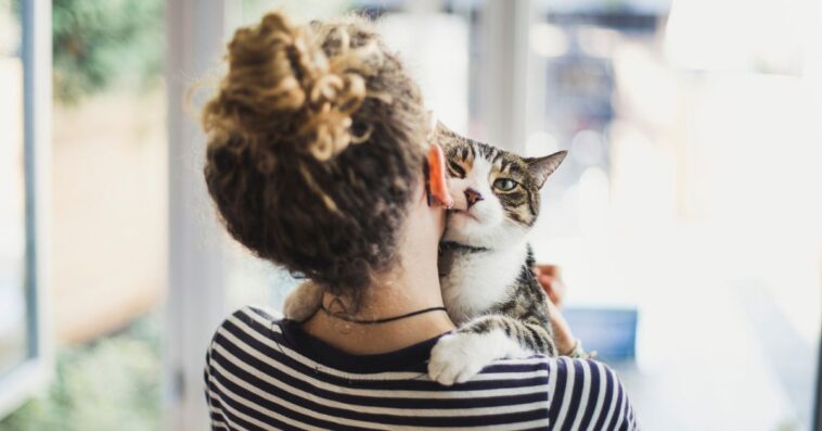 A cat looks into the camera while it's being held by a woman