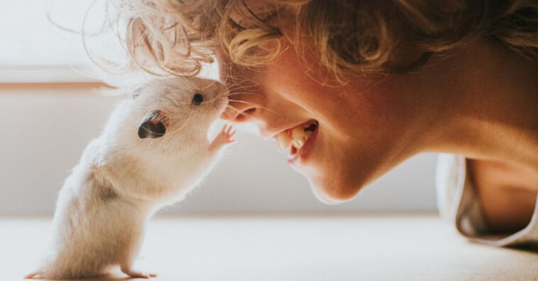 Hamster and Boy Rubbing Noses