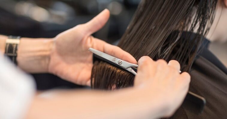 Hairdresser cutting hair of customer