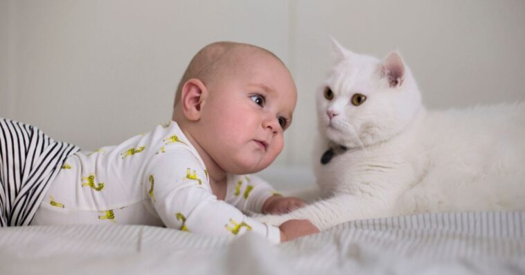Baby looking towards cat.