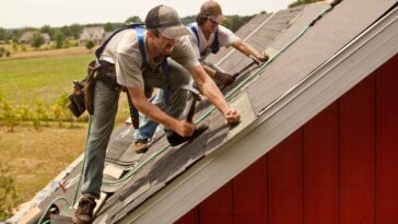 A team of men install watreproofing material and shingles to create a new roof on a rural building.