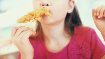 Close-up front view of cute little girl eating fried chicken and yes, enjoying it.