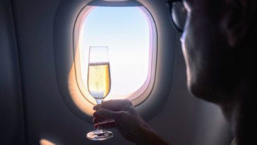 silhouette of person holding champagne by airplane window