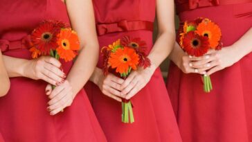 Bridesmaids in red dresses holding bouquets of Gerber daisies, mid section