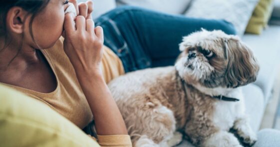 Sick young woman lying on the couch with her cute pet dog and blowing her nose.