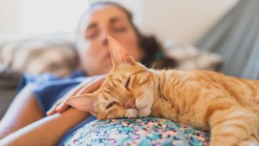 Woman sleeping with cat