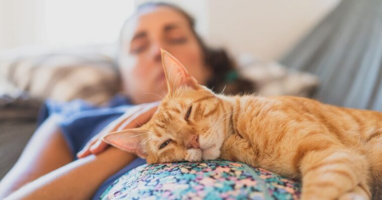 Woman sleeping with cat