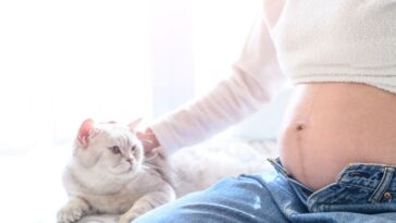 Pregnant woman sits petting a white cat on sofa.