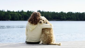 Woman hugging her dog while they on a jetty, rear view.