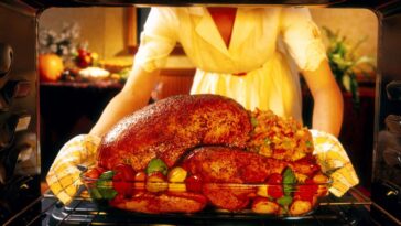 Woman preparing roasted turkey in oven.