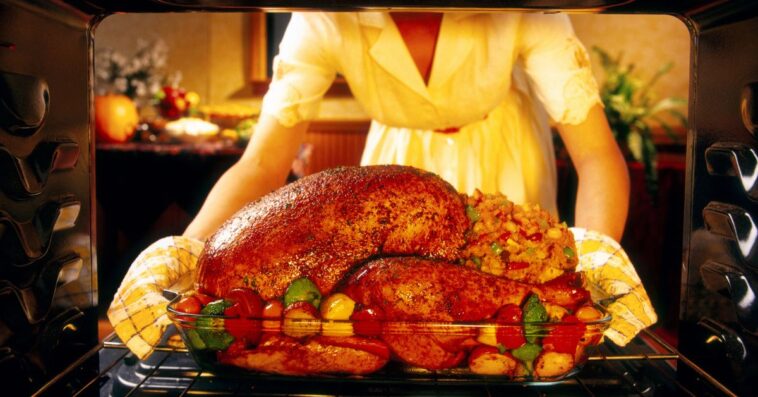 Woman preparing roasted turkey in oven.