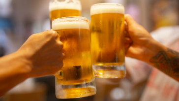 group clinking mugs of beer in a toast