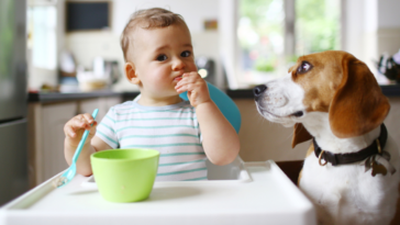 A baby and a dog