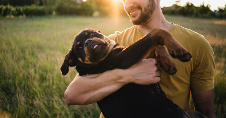 A man holding a dog in a field.