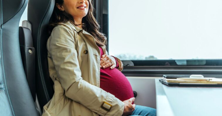 Portrait of a beautiful young expectant mother touching her belly while commuting on a train.