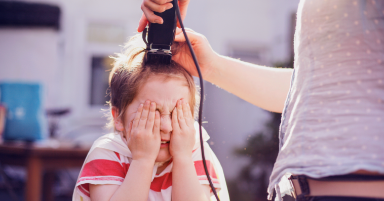 young boy getting head shaved