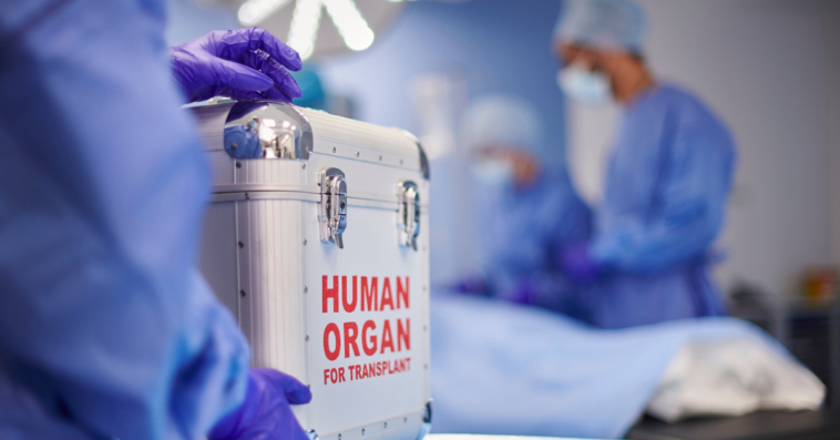 Organ transplant