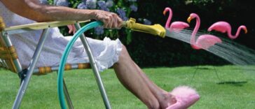 Senior woman in lawn chair, watering grass, low section, side view. Three pink flamingos sit in the background.