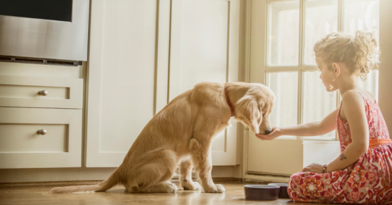 A little girl feeding a dog. food from her hand.