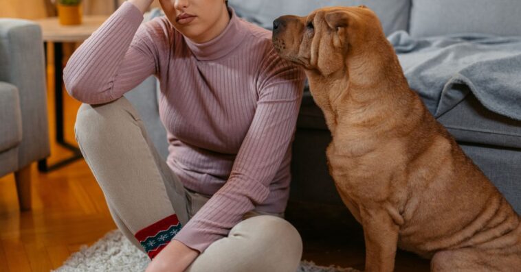 Sad young woman sitting on the floor with her shar-pei dog at home and sulking.