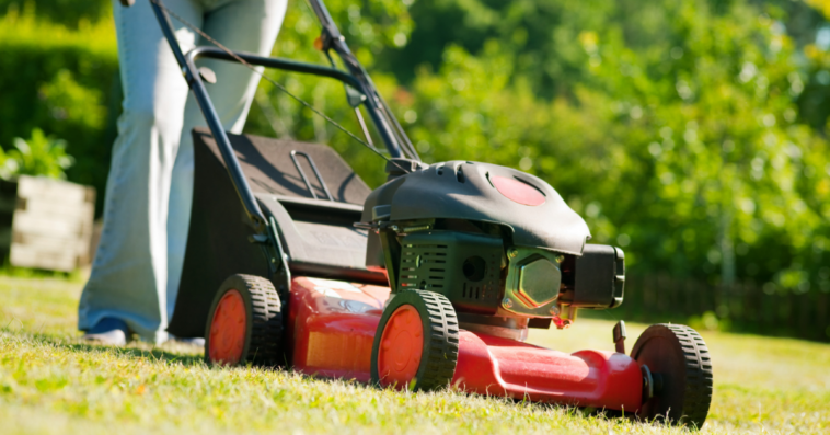 person pushing red lawnmower