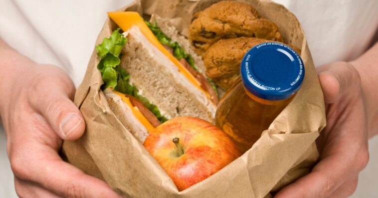 Hands holding a bagged lunch with a sandwich, apple, cookies and juice.