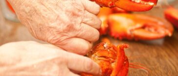 Older person's hands cracking and cutting a cooked lobster in a restaurant.