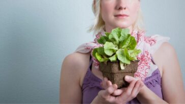 Young Woman Holding A Potted Plant.