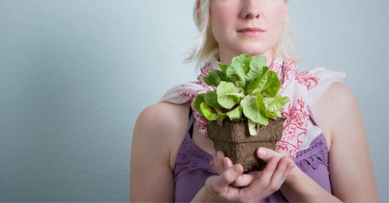 Young Woman Holding A Potted Plant.