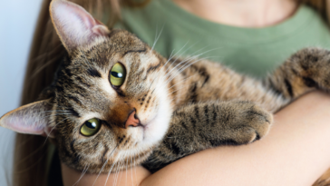 A woman holding a cat.