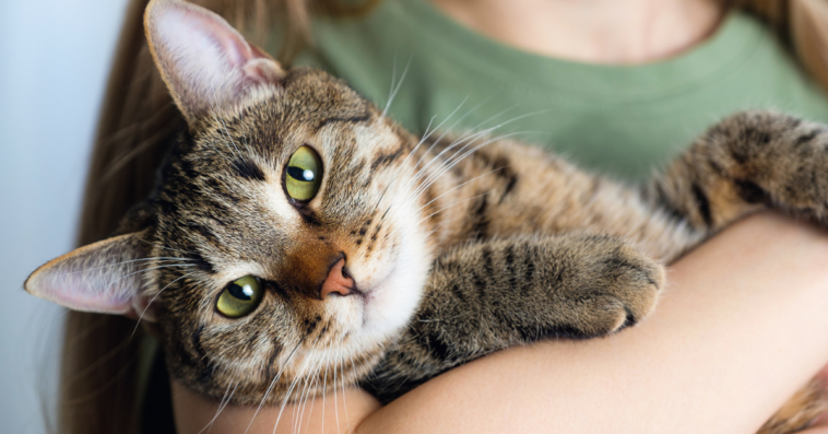 A woman holding a cat.