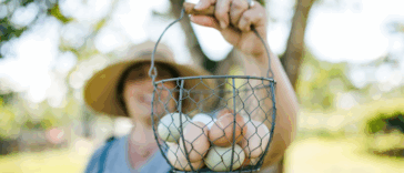 woman holding basket of fresh eggs