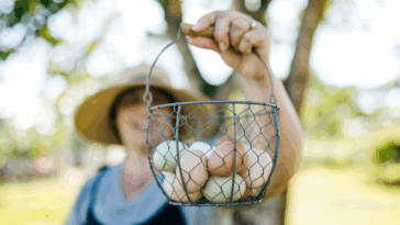 woman holding basket of fresh eggs