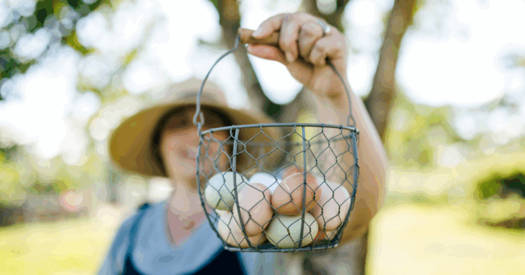 woman holding basket of fresh eggs