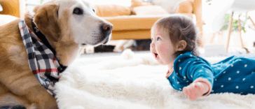 A baby looking a dog in the eyes.