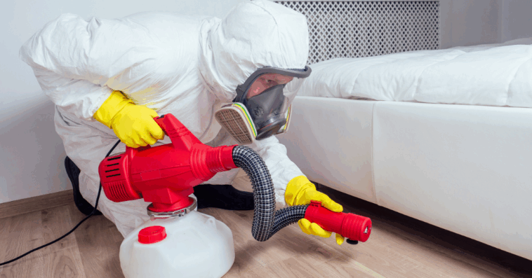 An exterminator treating under a bed.