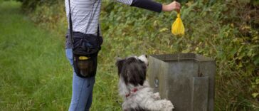 A teenager puts a filled, biodegradable dog poop bag into a public waste bin in a rural area, whilst being watched by a pet dog.
