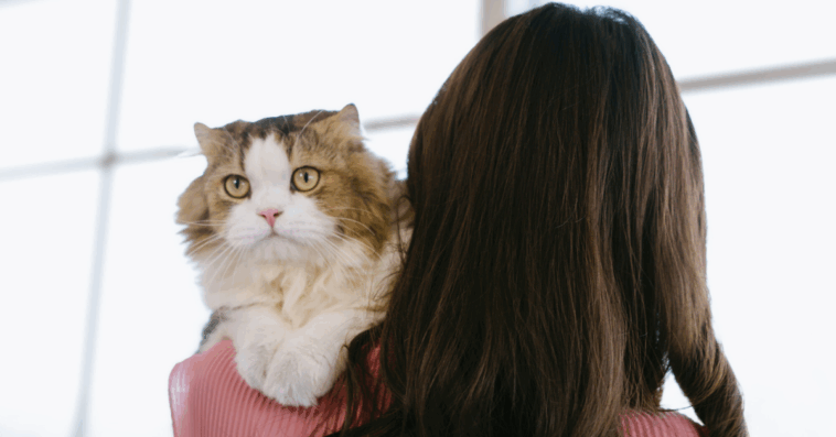 woman holding cat against her shoulder