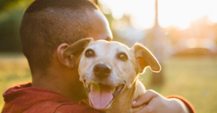 A rear view of a young man hugging his small Mixed-breed dog. The dog looks at camera.