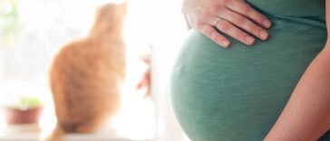 Pregnant young woman expanding the family with a cat in the background.
