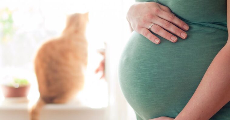 Pregnant young woman expanding the family with a cat in the background.