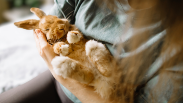 young woman holding pet rabbit